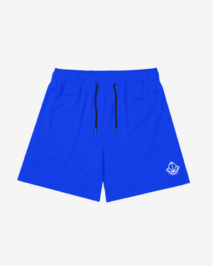 LEGENDS COLORS MESH SHORTS