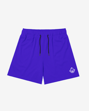 LEGENDS COLORS MESH SHORTS
