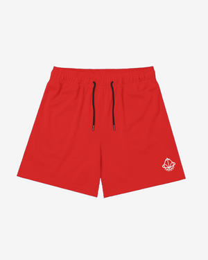 LEGENDS COLORS MESH SHORTS